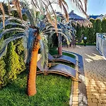 Ciskowscy منتزه العطل *